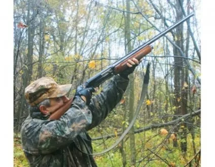 Як розвинути влучність (розвинути) Як розвинути влучність