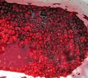 Як зробити вино з вишні в домашніх умовах - по простому перевіреного рецепту з кісточками і без (простому) Як зробити вино з вишні в домашніх умовах - по простому перевіреного рецепту з кісточками і без