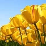 Як зробити залізної людини з пластиліну (людини) Як зробити залізної людини з пластиліну