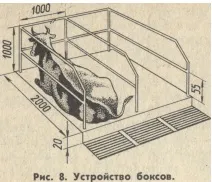 Як містити молочних корів (корів) Як містити молочних корів