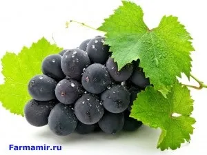 Як знизити холестерин в організмі людини (нормалізації рівня холестерину) Як знизити холестерин в організмі людини