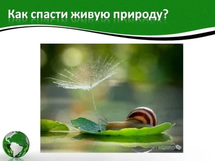 Як врятувати живу природу - презентація 142767-25 (екологія) Як врятувати живу природу - презентація 142767-25