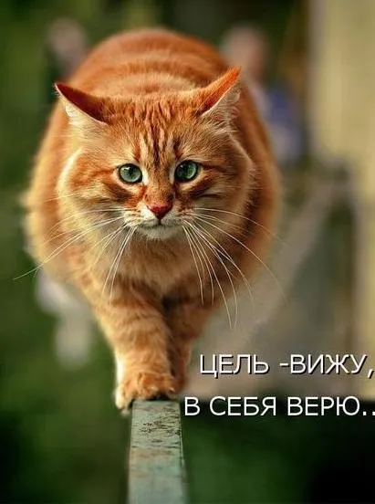 Як ставити собі цілі