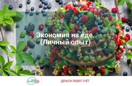 Як зменшити витрати на їжу (особистий досвід), система управління особистими фінансами (досвід) Як зменшити витрати на їжу (особистий досвід), система управління особистими фінансами
