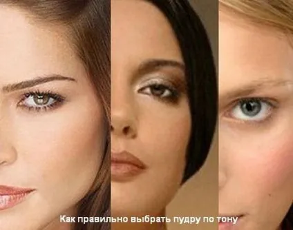 Як вибрати пудру для обличчя види косметичного порошку (вибрати колір пудри) Як вибрати пудру для обличчя види косметичного порошку