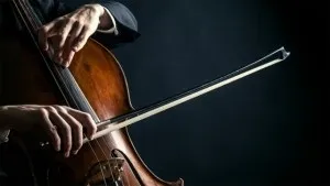 Як вибрати смичок для віолончелі музшок (смичок) Як вибрати смичок для віолончелі музшок