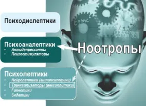 Як вивести токсини після алкоголю (токсини) Як вивести токсини після алкоголю