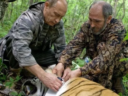 Як вибюрать фотопастки, як обноружіть фотопастки, як використовувати фотопастки (фотопастки) Як вибюрать фотопастки, як обноружіть фотопастки, як використовувати фотопастки