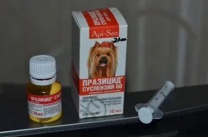 Празіцід (суспензія) кішок і кошенят, собак і цуценят, відгуки про застосування препаратів для тварин від (собак) Празіцід (суспензія) кішок і кошенят, собак і цуценят, відгуки про застосування препаратів для тварин від