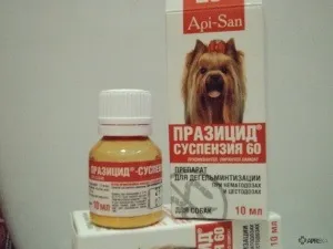 Празіцід (суспензія) кішок і кошенят, собак і цуценят, відгуки про застосування препаратів для тварин від (празіцід) Празіцід (суспензія) кішок і кошенят, собак і цуценят, відгуки про застосування препаратів для тварин від