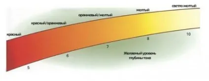 Предпігментація волосся суть процедури і нюанси її проведення (нюанси) Предпігментація волосся суть процедури і нюанси її проведення