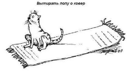 Правила котячого етикету, кіт і кішка