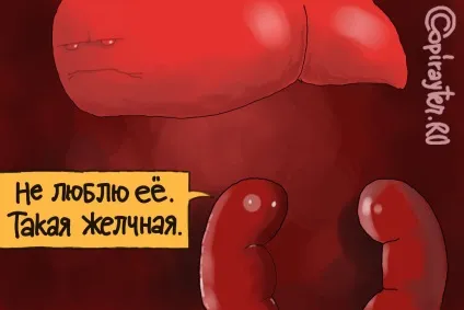 Препарати для печінки коли потрібно ефективне лікування