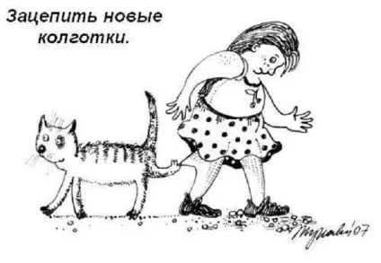 Правила котячого етикету, кіт і кішка