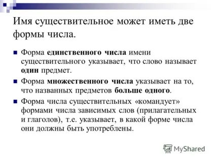Презентація на тему іменник може мати дві форми числа