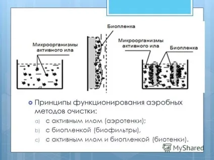 Презентація на тему біологічні методи очищення стічних вод (що при деяких умовах мікроби здатні розщеплювати органіку.) Презентація на тему біологічні методи очищення стічних вод
