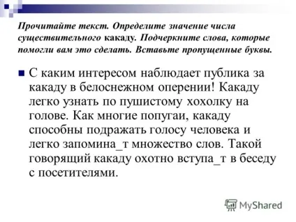 Презентація на тему іменник може мати дві форми числа