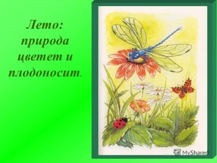 Презентація на тему літо природа цвіте і плодоносить (природа) Презентація на тему літо природа цвіте і плодоносить