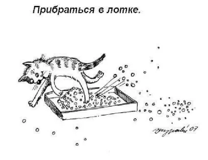 Правила котячого етикету, кіт і кішка