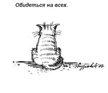 Правила котячого етикету, кіт і кішка