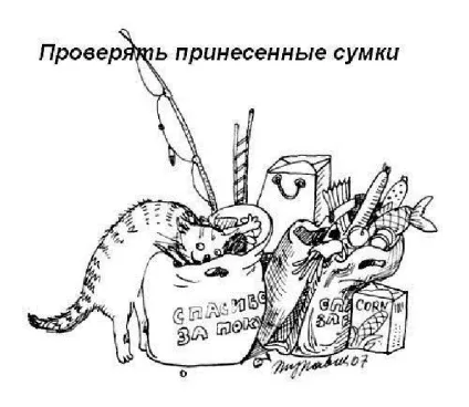 Правила котячого етикету, кіт і кішка