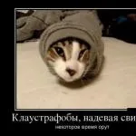 Як жити, коли тебе пиляють всюди і завжди легко все дістали (просто) Як жити, коли тебе пиляють всюди і завжди легко все дістали