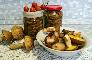Як зберігати гливи в домашніх умовах обробка і заморожування, грибний сайт (домашніх) Як зберігати гливи в домашніх умовах обробка і заморожування, грибний сайт
