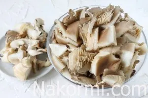 Як заморозити гливи (вешенки) Як заморозити гливи