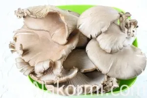 Як заморозити гливи (вешенки) Як заморозити гливи