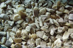 Як зберігати гливи в домашніх умовах обробка і заморожування, грибний сайт (вешенки) Як зберігати гливи в домашніх умовах обробка і заморожування, грибний сайт