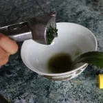 Каланхое від гаймориту як застосовувати для лікування, відгуки (гаймориту) Каланхое від гаймориту як застосовувати для лікування, відгуки