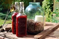 Як звіробій впливає на потенцію у чоловіків (потенцію) Як звіробій впливає на потенцію у чоловіків