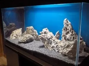Камені для акваріума види, особливості складу, форми застосування (складу) Камені для акваріума види, особливості складу, форми застосування