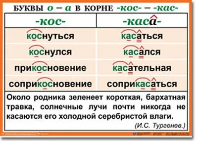 Ластівка - або - косатка - хто є хто як писати правильно (писати) Ластівка - або - косатка - хто є хто як писати правильно