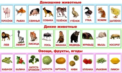 Картки для розвитку дитини до року, методики і заняття (року) Картки для розвитку дитини до року, методики і заняття