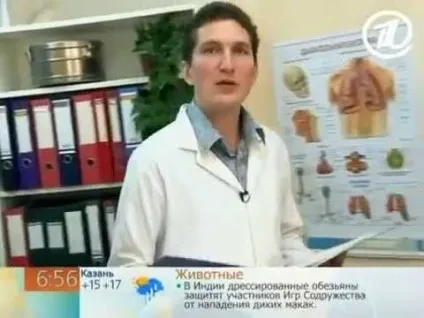 Каланхое при гаймориті застосування в лікуванні і протипоказання (гаймориті) Каланхое при гаймориті застосування в лікуванні і протипоказання