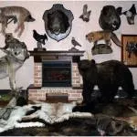 Коли кабан небезпечний - полювання та риболовля вУкаіни і за кордоном (мисливець) Коли кабан небезпечний - полювання та риболовля вУкаіни і за кордоном