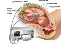Коли з'являється серцебиття у плода (серцевих скорочень плода) Коли з'являється серцебиття у плода