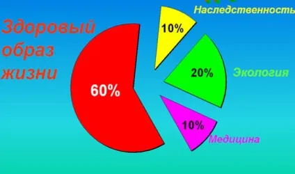 Класна година - здоров'я - основа життя (життя) Класна година - здоров'я - основа життя