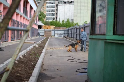 Кінолог сергей Рогозін «собака не може розкрити злочин без господаря» (може) Кінолог сергей Рогозін «собака не може розкрити злочин без господаря»