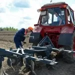Корінням дерево сильно