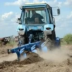 Корінням дерево сильно