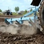 Корінням дерево сильно