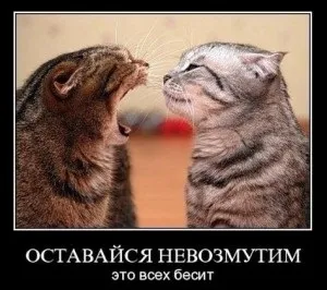 Конфліктні ситуації-як знайти вихід (речі які мають) Конфліктні ситуації-як знайти вихід