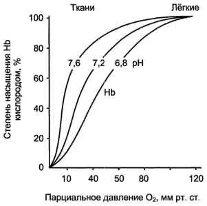 Кооперативні зміни конформації протомеров - студопедія (безкоштовно) Кооперативні зміни конформації протомеров - студопедія