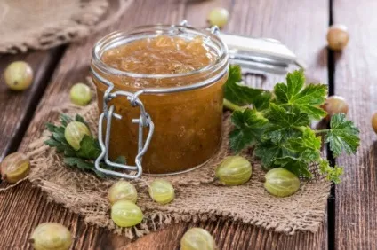 Консервація агрусу рецепти на зиму, компот, найпростіші види, з апельсинами, до м'яса, з (зиму) Консервація агрусу рецепти на зиму, компот, найпростіші види, з апельсинами, до м'яса, з