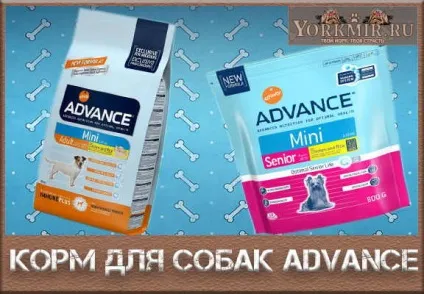Корм для собак advance, склад, відгуки, ціна (advance) Корм для собак advance, склад, відгуки, ціна