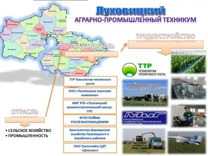 Корінням дерево сильно