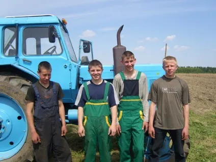 Корінням дерево сильно
