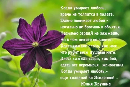 Красиві картинки про любов (621 шт (картинки) Красиві картинки про любов (621 шт